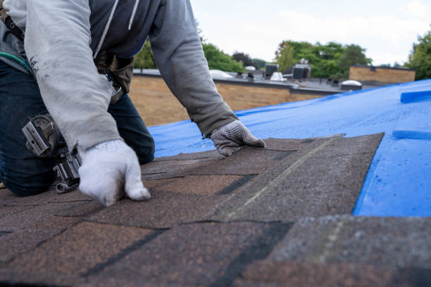 Best Flat Roof Repair Services  in Lexington, IL