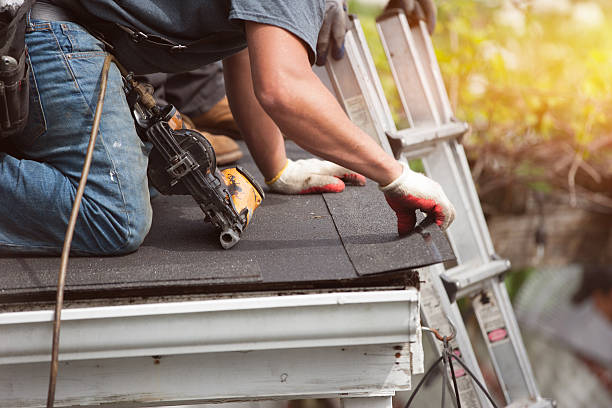 Best Roof Gutter Cleaning  in Lexington, IL