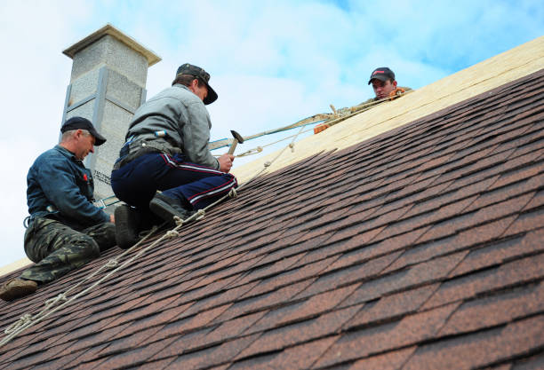 Best Roof Repair Services  in Lexington, IL