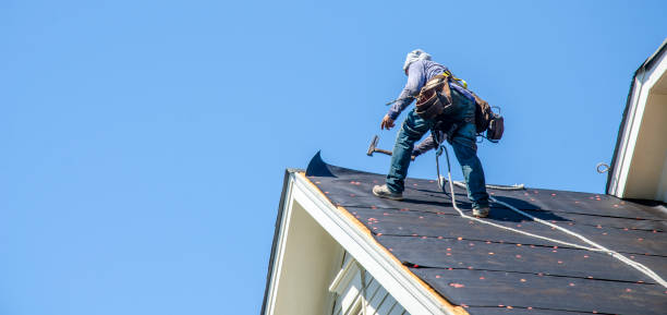 Best Roof Maintenance Services  in Lexington, IL